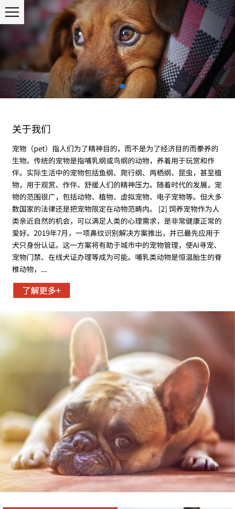 手机端